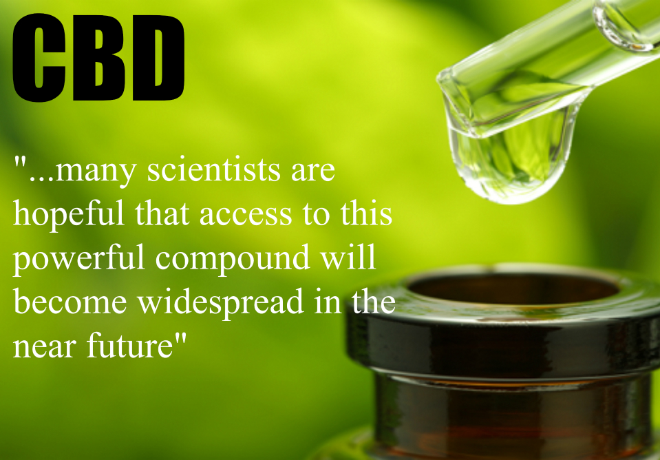 CBD Oil