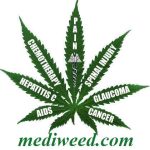 High CBD Hemp Flowers