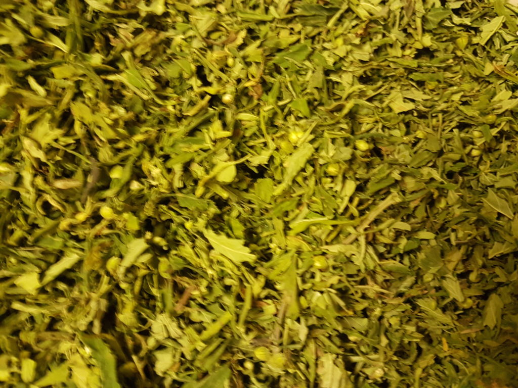 FInola Premium Tea