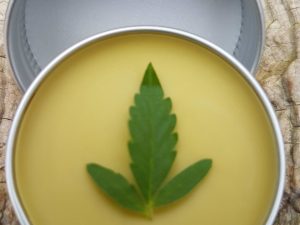 CBD Entourage Lip Balm
