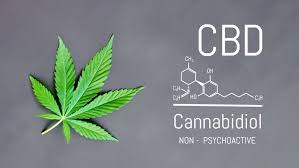 Cannabis CBD