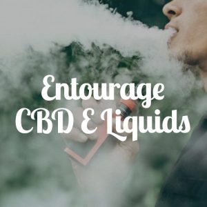 Mediweed Entourage CBD E Liquid