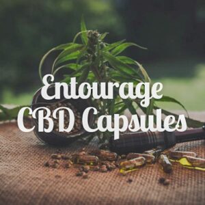 Entourage CBD Capsules