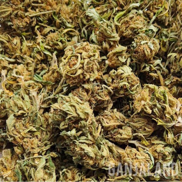 Ackrite 11% CBD Flower Tea Bags x 10 - Image 2