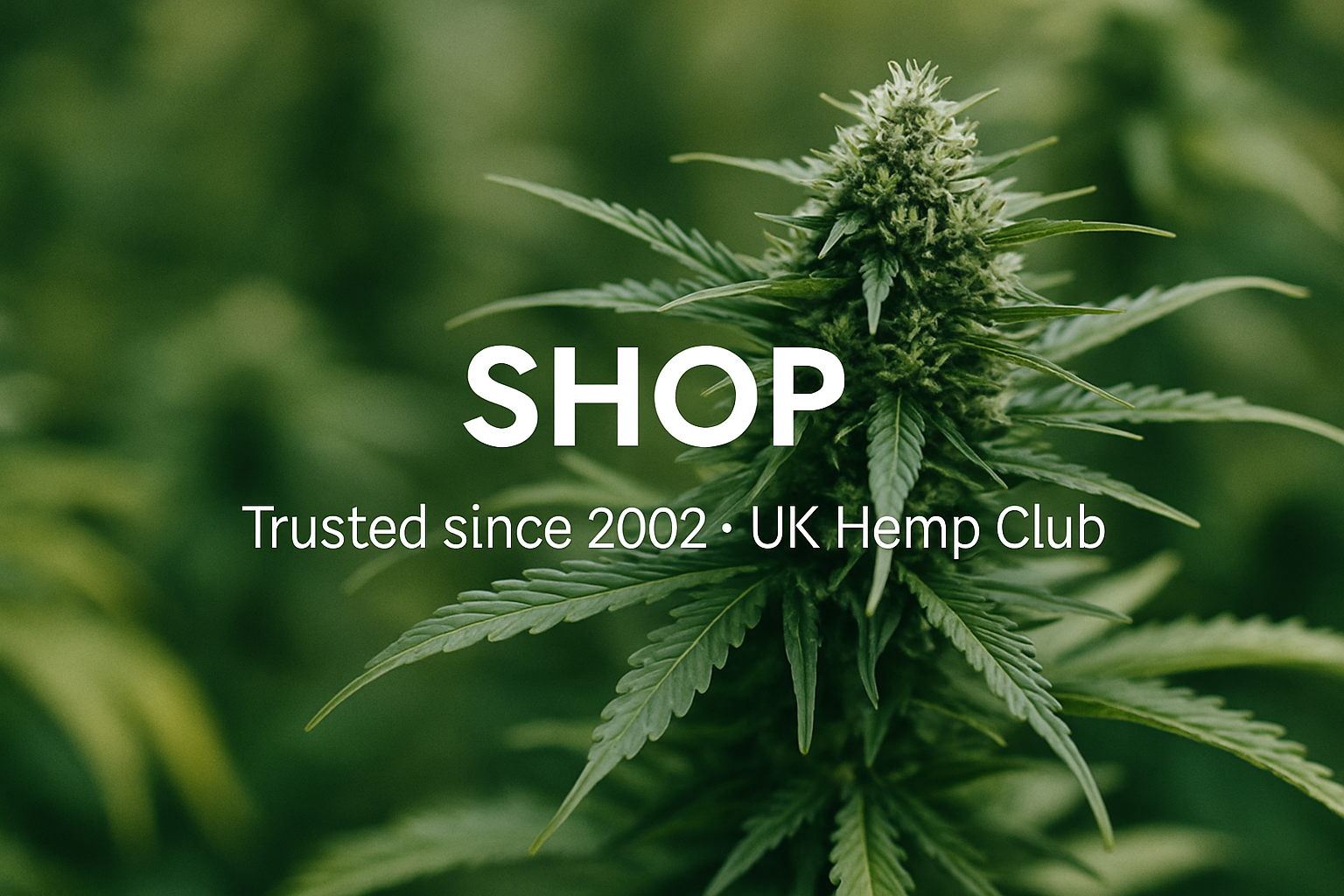 Mediweed shop banner