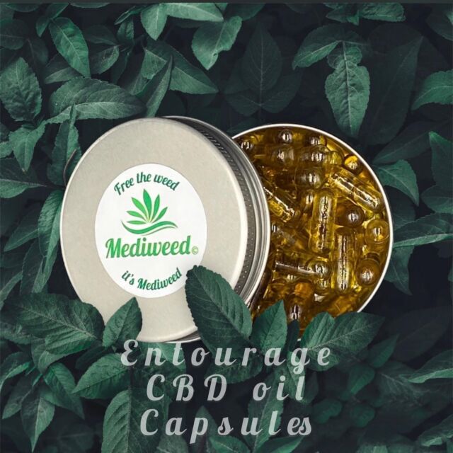Mediweeds Entourage CBD oil capsules are a premium and potent blend crafted to elevate your CBD experience. Sourced from high-quality hemp, this oil offers a perfect synergy of cannabinoids, terpenes, and other beneficial compounds to maximize its therapeutic potential. With different strength options available, ranging from low to double high, you can find the ideal potency that suits your wellness needs. Embrace the power of natural wellness and experience the positive effects of Mediweeds Entourage CBD oil today. 🌿💧
(Check this out and many other beneficial products on our Mediweed.com websites, Link in bio) 

 #mediweed #CBDOil #NaturalWellness #cbdcapsules #cbdoil #hemp #organic #cbdhealth #cbduk #fullspectrumcbd #natural #cbdcures #cbd #healthylifestyle #anxiety #sleep #pain #stress